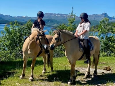 Summer/Autumn Horseback Riding Excursion in Skammestein near Jotunheimen