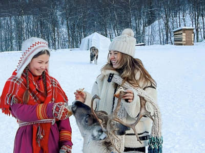 Sami Culture and Reindeer Excursion from Tromsø