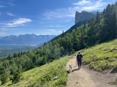 Private Guided Hiking in Kananaskis Country from Calgary