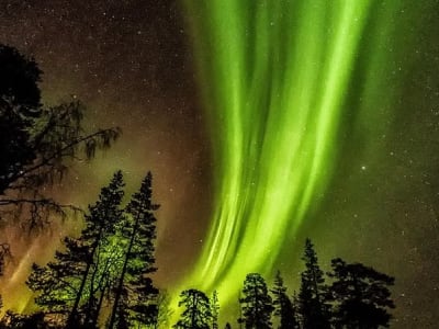 Northern Lights Hunt from Kemi