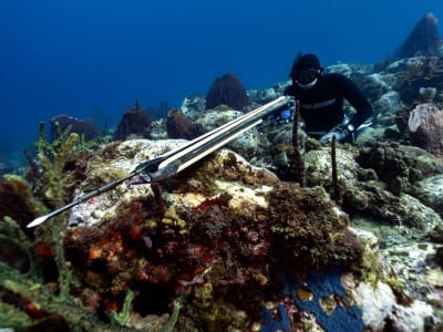 Chasse sous-marine aux Trois-Îlets en Martinique