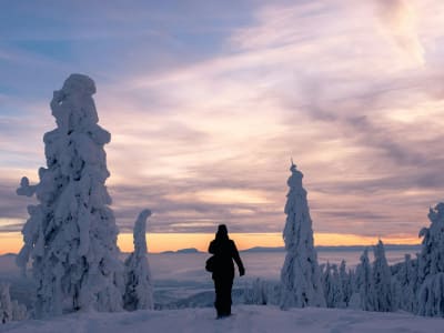 Snowshoeing Excursion from Ylläs to Mount Kesänki