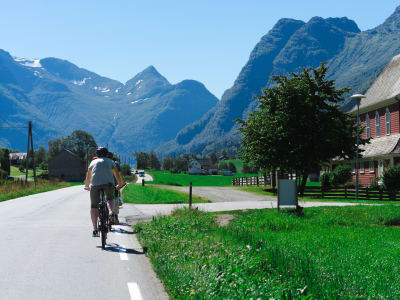 Recorrido guiado en bicicleta eléctrica por Nordfjord desde Olden