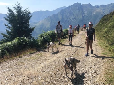 Wandern mit Schlittenhunden im Val d'Azun bei Argelès-Gazost, Hautes-Pyrénées