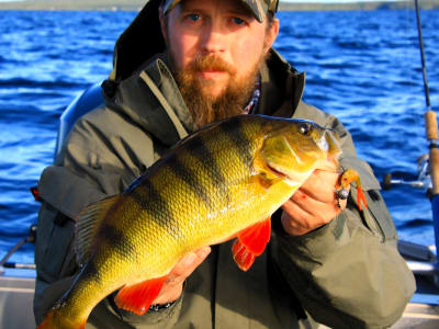 Excursión de pesca guiada desde Laxforsen, cerca de Kiruna