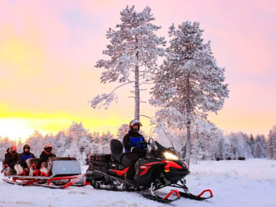 Evening Sledding Experience from Abisko