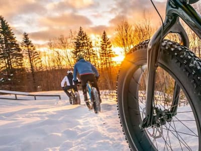 Guided Fat Biking Tour in Luleå