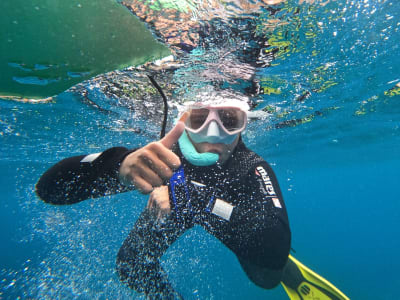 Excursion guidée de snorkeling à Tenerife