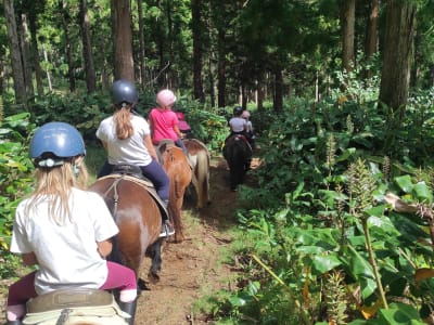 Ponyreiten für Kinder auf dem Piton Maïdo, Insel La Réunion
