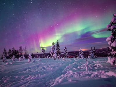 Excursion photographique des aurores boréales à partir de Rovaniemi