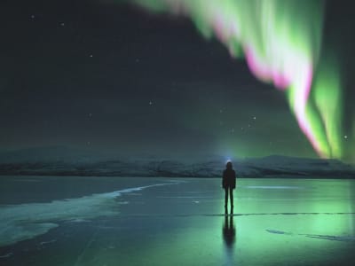 Excursion photographique des aurores boréales à partir d'Abisko
