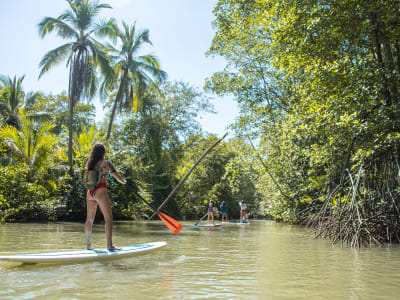Stand Up Paddleboard en los manglares de Isla Damas, cerca de Manuel Antonio