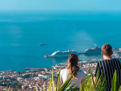 Dolphin Watching Boat Tour + Arieiro Peak & Cristo Rei 4x4 Tour in Madeira