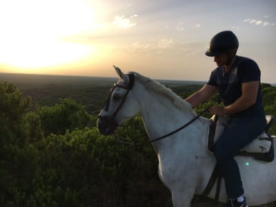 Paseo a caballo desde Sevilla por el Parque Nacional de Doñana