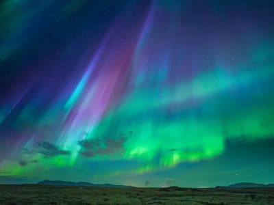 Northern Lights Excursion and Whale Watching Tour from Reykjavík