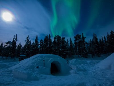 Nuit en igloo et observation d'aurores boréales à Kiruna 