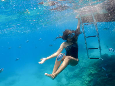 Guided Snorkelling Excursion around Tamarin Bay 