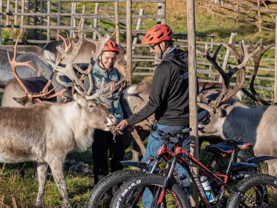 Summer Electric Fat Biking Tour & Reindeer Farm Visit from Rovaniemi