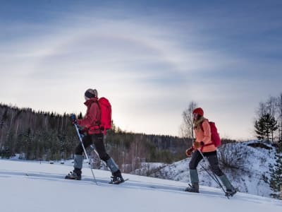 Excursión con raquetas de nieve por las colinas finlandesas desde Laukaa
