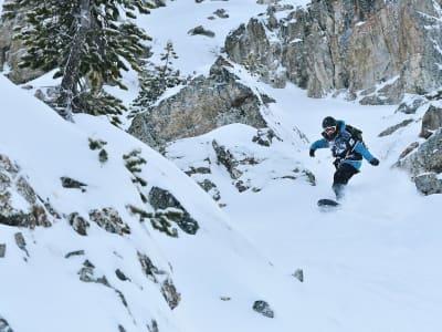 Stage de perfectionnement en snowboard freeride à Vars, La Forêt Blanche