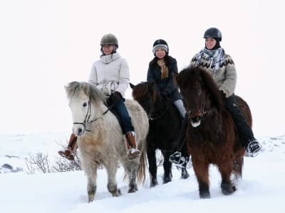 Randonnée à cheval pour débutants dans les champs de lave d'Islande, près de Reykjavík