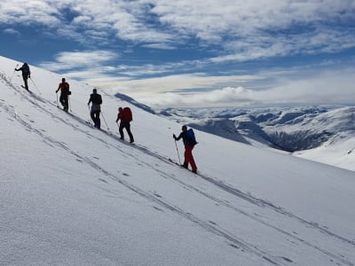 Beginner Ski Touring in Voss 