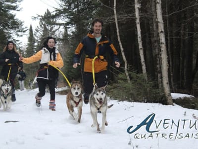 Guided Cani-Hike in Rivière-Rouge near Mont-Tremblant