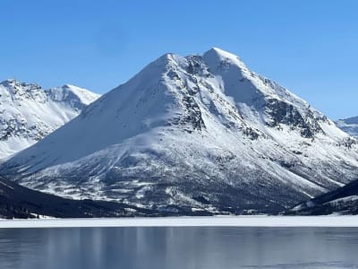 Primavera/Verano Excursión guiada en barco de pesca desde Tromsø