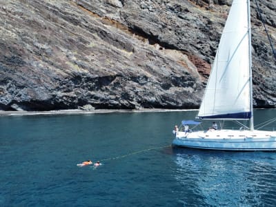 Boat Tour along the Cliffs of Los Gigantes and Tapas, Tenerife