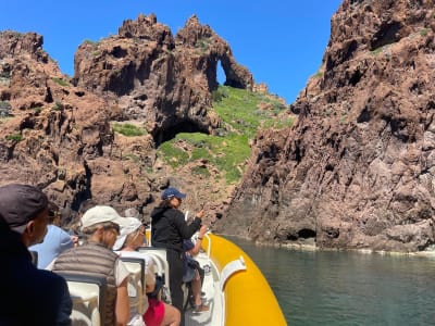 Excursión en barco a las Calanques de Piana y a la Reserva Natural de Scandola, Córcega