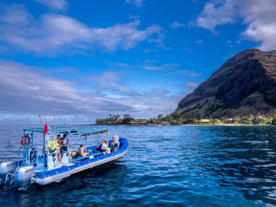 Hawai’i dolphin watching and snorkelling zodiac tour, departing from Kailua-Kona