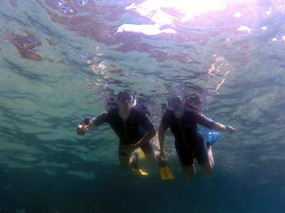 Einführung in die Meeresbiologie und Schnorcheltour in Lloret de Mar