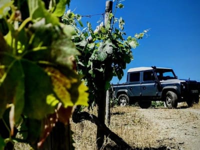 Excursión guiada en 4x4 por el valle del Duero desde Oporto con cata de vinos