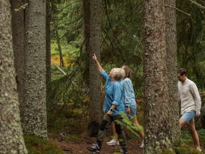 Guided Hike in Tällberg, Dalarna County with a Traditional Fika Break