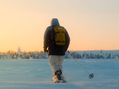 Arctic Snowshoeing Adventure in Rovaniemi