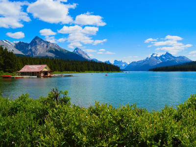 Visite de la vallée de la Maligne et des chutes d'eau au départ de Jasper