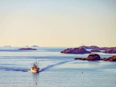 Arctic Boat Fishing Excursion near Svolvaer, in Lofoten
