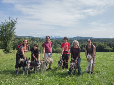 Wandern mit Schlittenhunden in Cisternes-la-Forêt, in der Nähe von Clermont-Ferrand