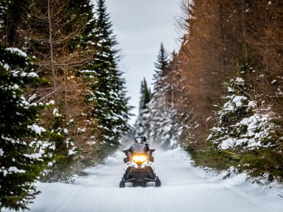 Snowmobile Excursion in the Laurentians with Transport from Mont-Tremblant
