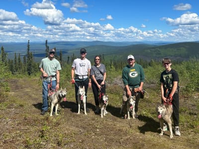 Randonnée avec des chiens cani-rando de Sibérie à l'extérieur de Fairbanks, en Alaska