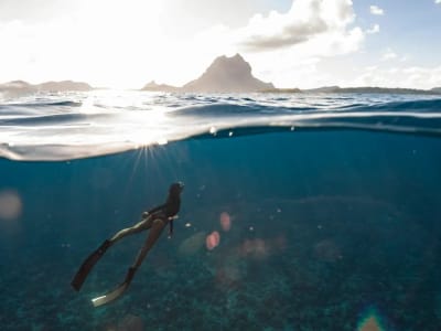 Freediving Excursion in Moorea Lagoon