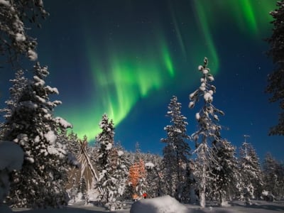 Nordlicht-Fotoexkursion ab Ylläs