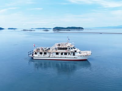 Boat Tour in the Isle-aux-Grues Archipelago from Berthier-sur-Mer, Quebec