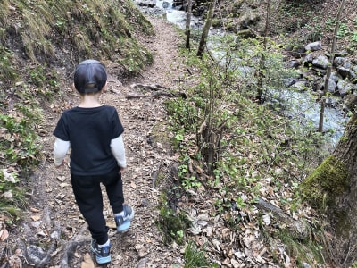 Discover Hiking in the Ehnbach Gorge near Innsbruck
