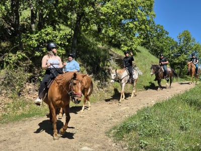 Balade guidée à cheval à Lefkochori, près de Thessalonique