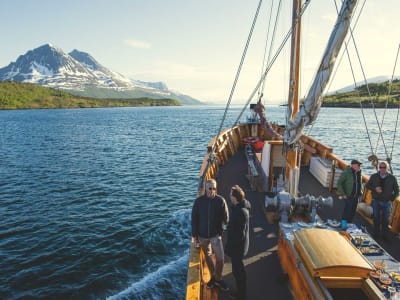 Excursion en bateau dans les fjords et sur les îles depuis Tromsø à bord d'un navire historique