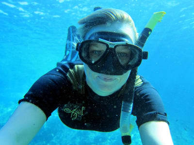 Snorkel en el Parque Natural de Porto-Vecchio, Córcega