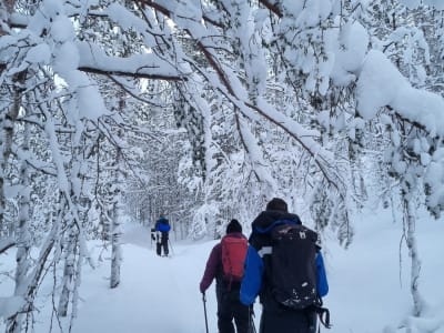 Excursion de ski « Altai » à Ivalo, en Laponie
