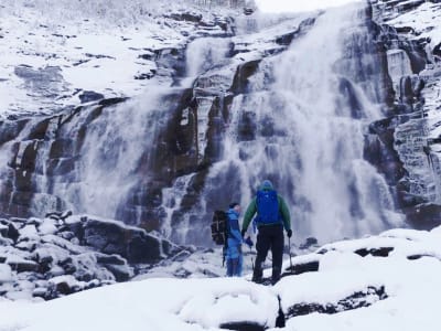 Guided Snowshoe Hike to Valnesfossen Waterfall and Saltstraumen from Bodø