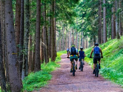 Electric Mountain Bike Rental in the Loue Valley from Ornans, near Besançon